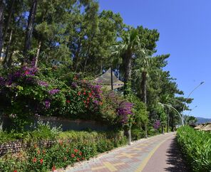 Grand Yazıcı Club Marmaris Palace 5*